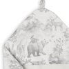 Badcape-forest-dieren-pimpelmees