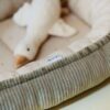 Babynestje met hartjes in olijfgroen rib